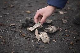 Raccoglie petardo inesploso, bimbo di 10 anni perde una mano a Vittoria