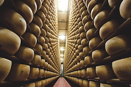 Parmigiano Reggiano protagonista a Taste con progetto Premium "40 mesi"
