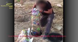 Maxi sequestro di marijuana a Catania: 435 chili e 11.000 piante. Ventuno indagati per traffico di droga