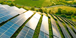 Edison accelera sulle rinnovabili, 5 miliardi di investimenti: nuovi impianti anche in Sicilia