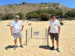 Siculiana, il "miracolo" della natura: una Caretta Caretta è tornata a deporre le uova