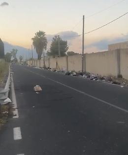 Stradale Coda Volpe: «Questo è il porta a porta?»