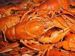Tenta di rubare aragoste e scampi in un ristorante, arrestato un palermitano