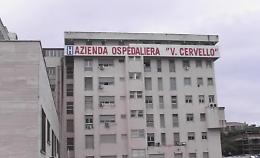 Palermo, cadavere di una donna in obitorio ricoperto di formiche: la denuncia del figlio