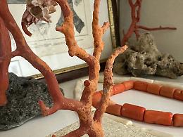 L’affascinante storia del corallo di Sciacca in mostra nella Città dei templi 