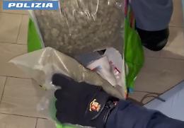 Catania, sequestrati oltre un chilo e mezzo di droga: arrestato 23enne grazie ai cani-poliziotto &ldquo;Maui&rdquo; e &ldquo;Ares&rdquo;