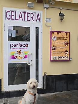 La trovata di una gelateria ligure per i cani che adesso potranno mangiare il gelato