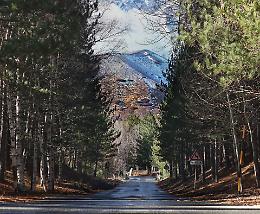 Road to Heaven – Etna Nord, Piano Provenzana