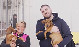 Modica e la campagna antirandagismo: "Non compare un cane, adottalo"