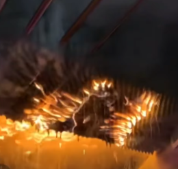 Crans Montana: in un video le prime fiamme sul tetto del locale tra balli, foto e cori