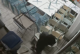 Furto al Molo Sant'Erasmo, il proprietario pubblica il video sui social: "Palermo non &egrave; una citt&agrave; sicura"