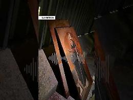 &laquo;Qui ci sono dei quadri del museo, credo che qualcuno li abbia rubati...&raquo;. La telefonata della donna che ha fatto scattare l'allarme