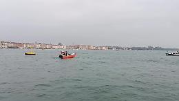 "Mimmo" è in pericolo, il delfino di Venezia scortato in acque sicure