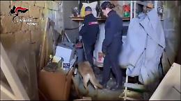 Polveriera Zen, maxi operazione dei carabinieri: sequestri di armi e droga tra i padiglione, identificate 249 persone (Video)