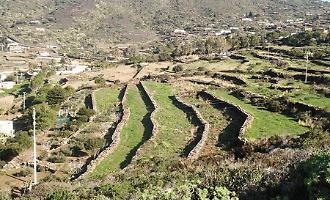 Pantelleria punta sull'equilibrio: musica, alcol e orari per un'estate vivibile