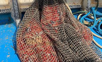 Riserva per il ripopolamento violata: due motopesca di Mazara del Vallo fermati, sequestrati circa 130 kg di gamberi