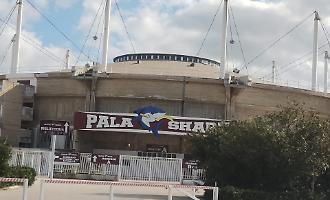 Trapani Shark Under 19 Gold esclusa dal campionato per la seconda rinuncia a gareggiare