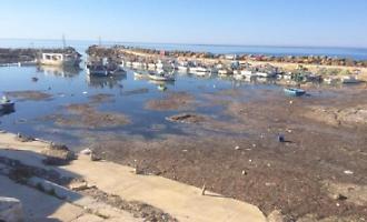 Marinella: annullata la processione a mare del 23 agosto