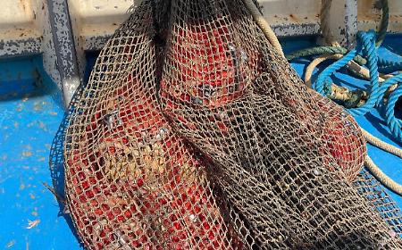 Riserva per il ripopolamento violata: due motopesca di Mazara del Vallo fermati, sequestrati circa 130 kg di gamberi