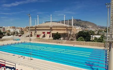 Malessere generazionale a Trapani: spezzato l'albero in memoria di Alessandro, giovani risarciscono i danni alla piscina