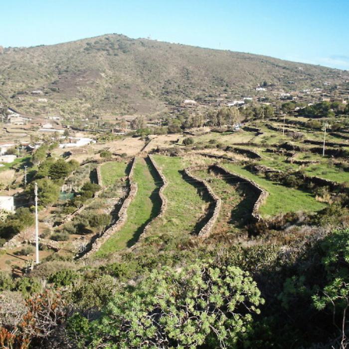 Pantelleria