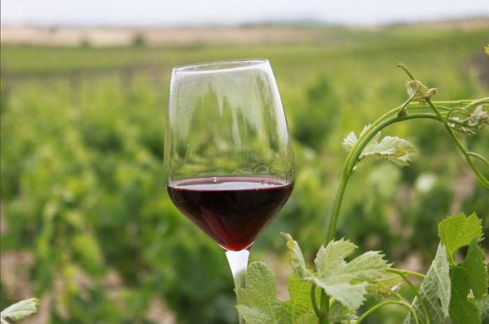 162046740-730c106a-81d9-4eee-a1d4-ad3078809da5