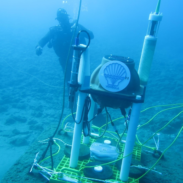 Nel Mar Ionio il primo sistema europeo che ascolta la voce del mare, dal canto dei gamberetti all'impatto delle navi: si chiama "Vongola"