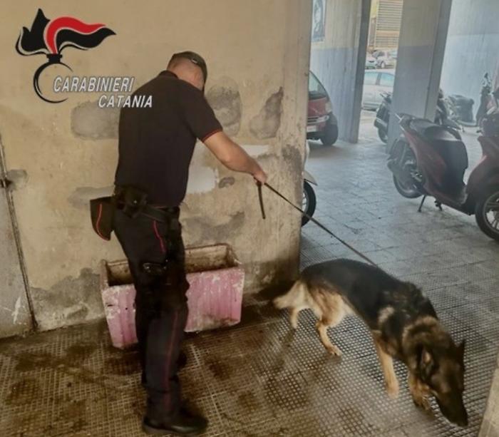 Pattuglie e cani antidroga fermano a Riposto  un 29enne: sequestrati cocaina, marijuana e crack