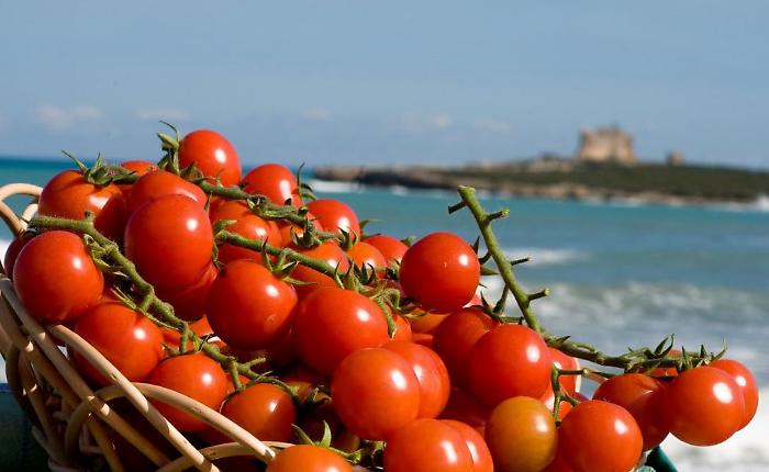Salmonella e pomodorini? Il Consorzio di Pachino: «Solo attacchi a un ortaggio che tutto il mondo ci invidia»