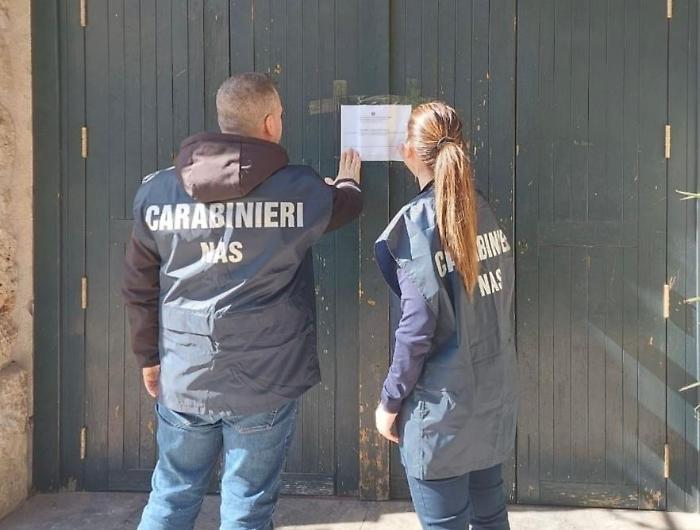 Blatte e altri insetti in cucina: i militari del Nas di Catania chiudono e sequestrano un noto fast food della provincia