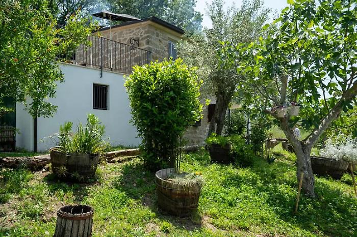 Casa nel bosco, i genitori accettano il casale disponibile a Palmoli
