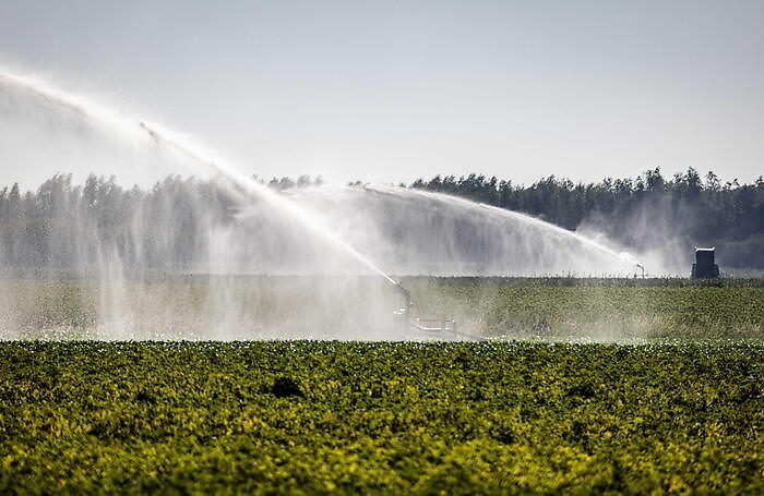 Irrigazione campi
