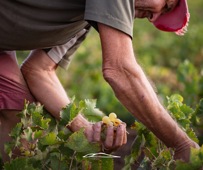 Da Pantelleria alle Colline del Prosecco più turisti e più occupazione nei siti Unesco 