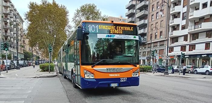 autobus 101