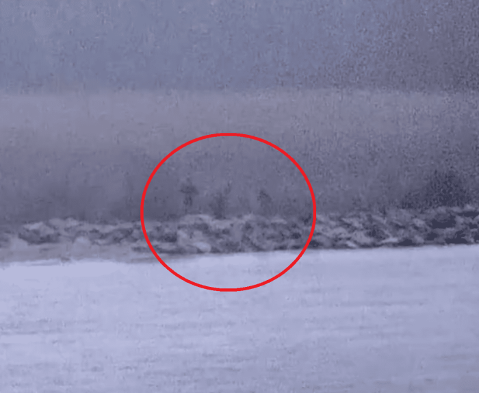 Estonia-Russia, il confine dove basta un soffio: Tallinn alza la posta e avverte Mosca