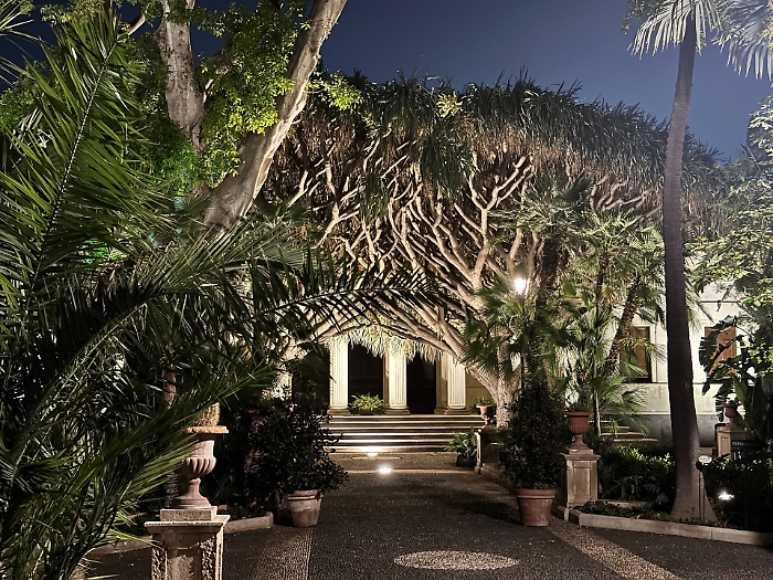 Bella di notte all'Orto Botanico di Catania: visite guidate serali tra profumi e luci