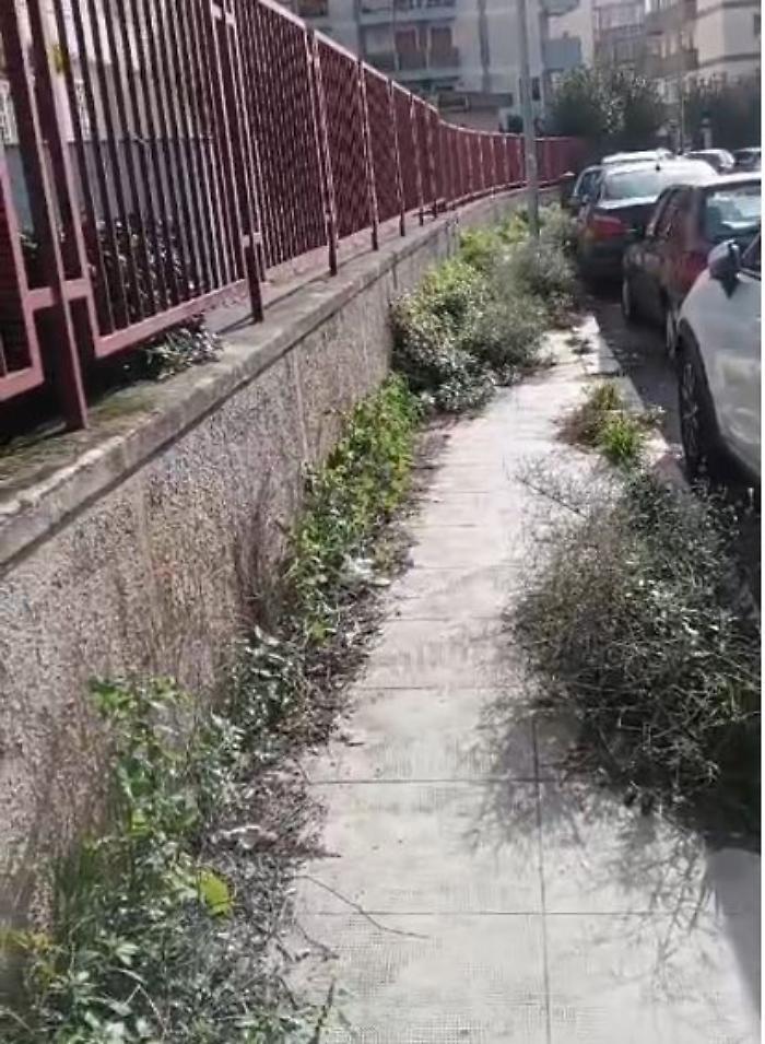 Palermo, marciapiede invaso da erbacce