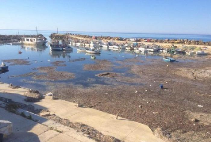 Marinella di Selinunte sospende la protesta e apre al dialogo: &laquo;Ultima possibilit&agrave;&raquo; per riaprire il porto