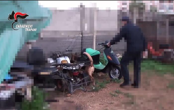 Trapani, il boss comandava dal carcere: dodici arresti per mafia, estorsioni e traffico di droga