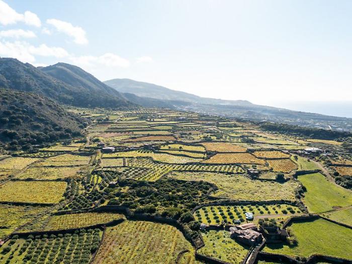 Pantelleria, il parco che ha cambiato l&rsquo;isola: cosa &egrave; stato fatto in dieci anni