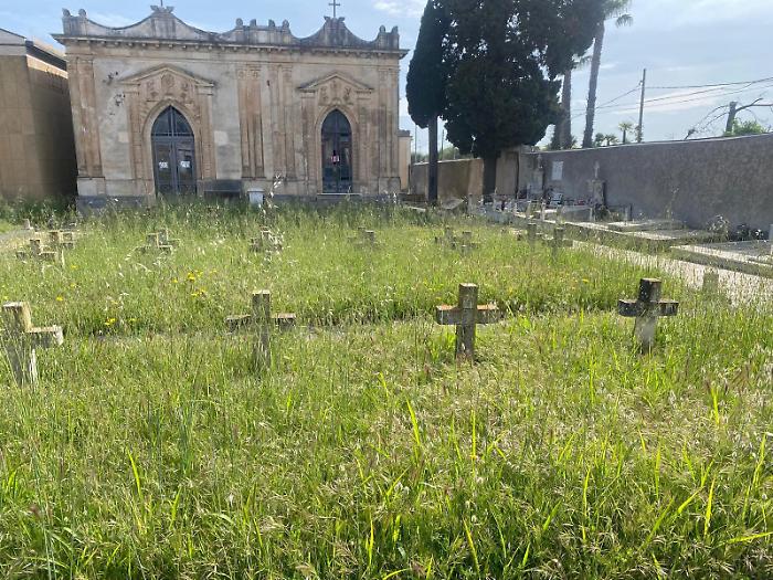 &laquo;Offesa alla dignit&agrave; dei defunti&raquo;